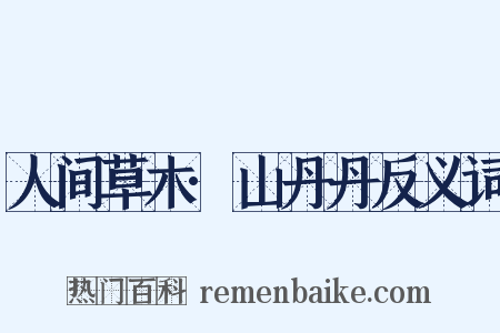 人间草木·山丹丹反义词是什么意思的图片